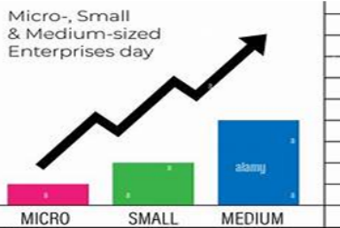enterprise development